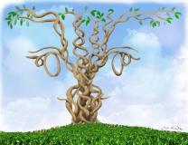 gene-tree