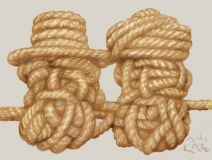 rabbiknot
